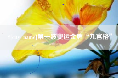 乐平第一波奥运金牌“九宫格”