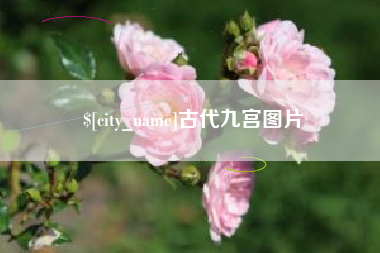乐平古代九宫图片