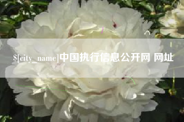 乐平中国执行信息公开网 网址