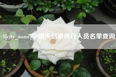 乐平中国失信被执行人员名单查询