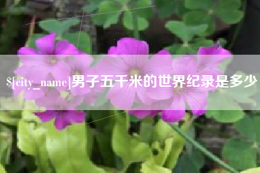 乐平男子五千米的世界纪录是多少