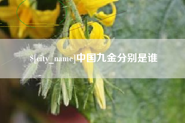 乐平中国九金分别是谁