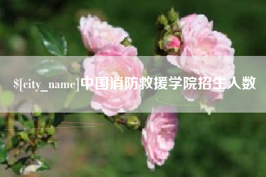 乐平中国消防救援学院招生人数