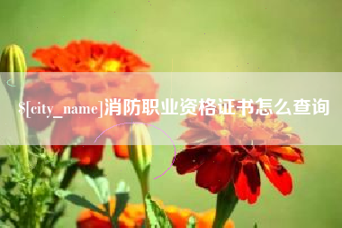 乐平消防职业资格证书怎么查询