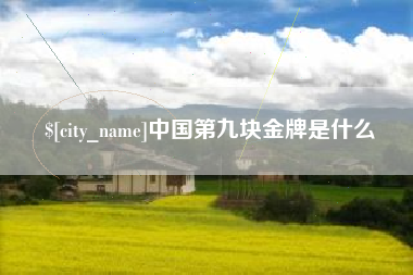 乐平中国第九块金牌是什么