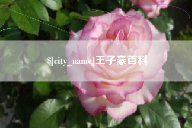 乐平王子豪百科