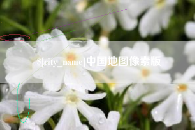 乐平中国地图像素版