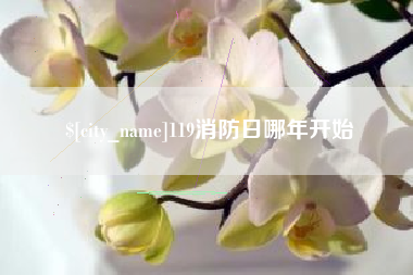 乐平119消防日哪年开始