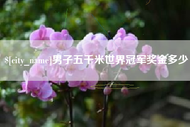 乐平男子五千米世界冠军奖金多少