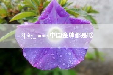 乐平中国金牌都是啥