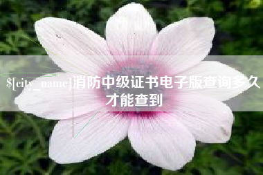 乐平消防中级证书电子版查询多久才能查到
