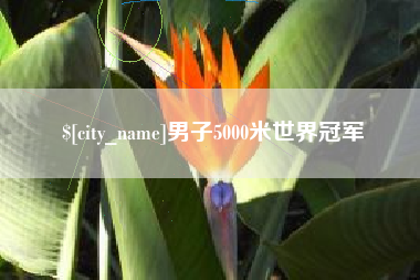 乐平男子5000米世界冠军