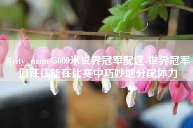 乐平5000米世界冠军配速-世界冠军们往往能在比赛中巧妙地分配体力