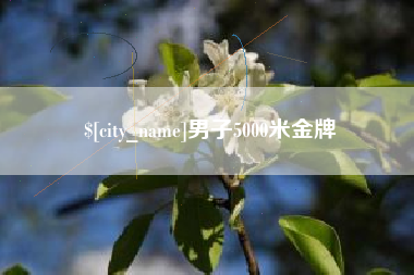 乐平男子5000米金牌