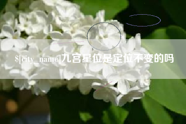 乐平九宫星位是定位不变的吗