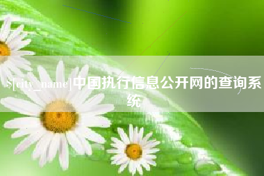 乐平中国执行信息公开网的查询系统