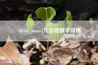 乐平九宫格数字排序