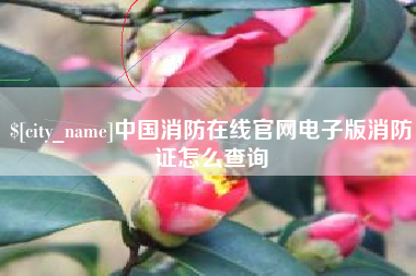 乐平中国消防在线官网电子版消防证怎么查询