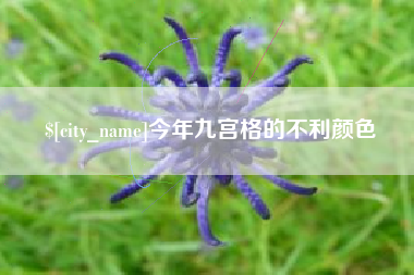 乐平今年九宫格的不利颜色