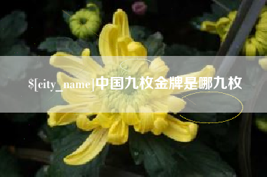 乐平中国九枚金牌是哪九枚