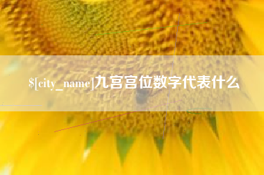 乐平九宫宫位数字代表什么
