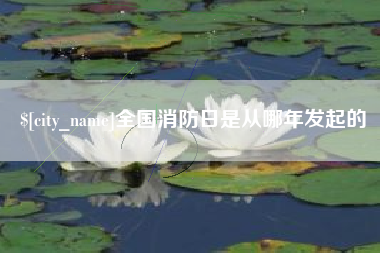 乐平全国消防日是从哪年发起的