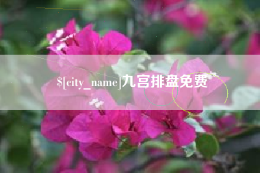 乐平九宫排盘免费