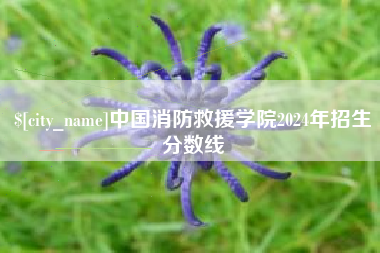 乐平中国消防救援学院2024年招生分数线