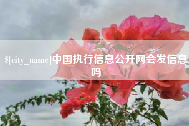 乐平中国执行信息公开网会发信息吗