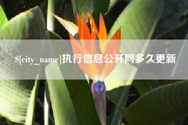 乐平执行信息公开网多久更新