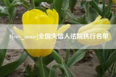 乐平全国失信人法院执行名单