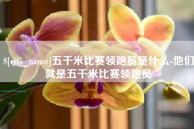 乐平五千米比赛领跑员是什么-他们就是五千米比赛领跑员