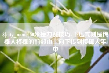 乐平60米接力赛技巧-下压式则是传棒人将棒的前部由上向下传到接棒人手中