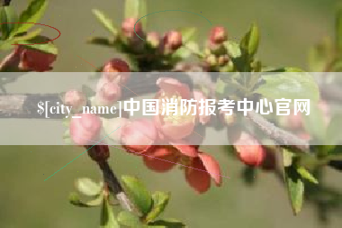 乐平中国消防报考中心官网