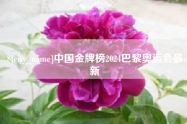 乐平中国金牌榜2024巴黎奥运会最新
