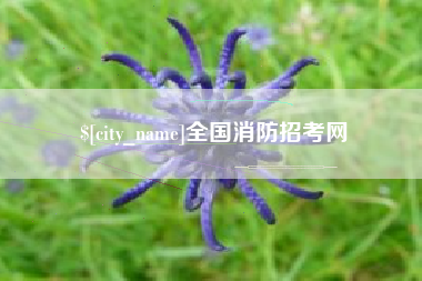 乐平全国消防招考网