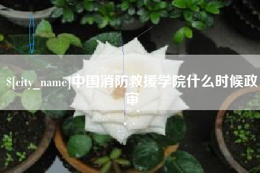 乐平中国消防救援学院什么时候政审
