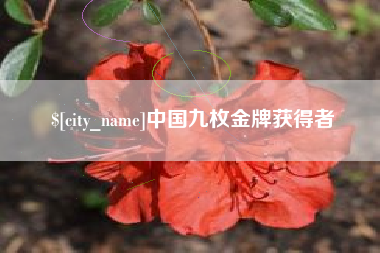 乐平中国九枚金牌获得者