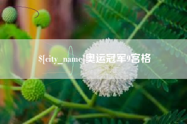 乐平奥运冠军9宫格