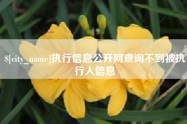 乐平执行信息公开网查询不到被执行人信息