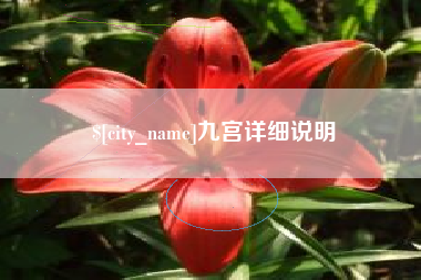 乐平九宫详细说明