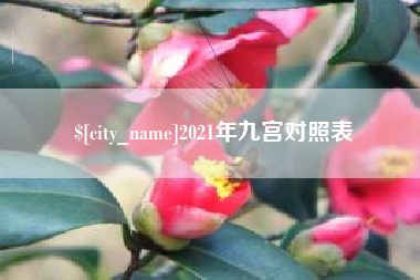 乐平2021年九宫对照表