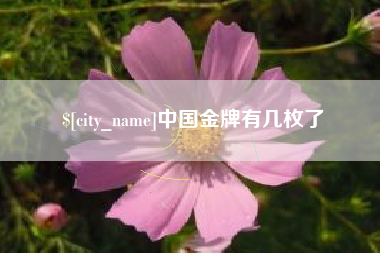 乐平中国金牌有几枚了