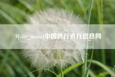 乐平中国执行执行信息网