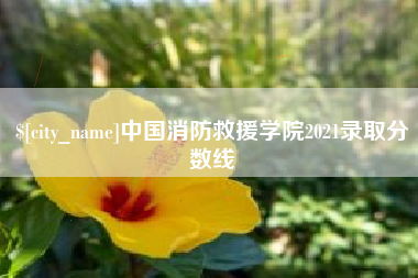 乐平中国消防救援学院2021录取分数线