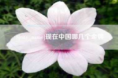乐平现在中国哪几个金牌
