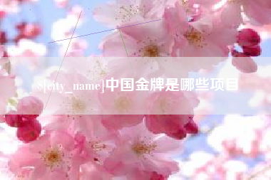 乐平中国金牌是哪些项目