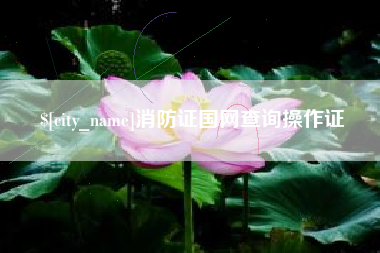 乐平消防证国网查询操作证