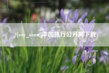 乐平中国执行公开网下载