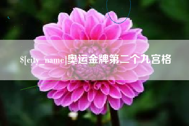 乐平奥运金牌第二个九宫格
